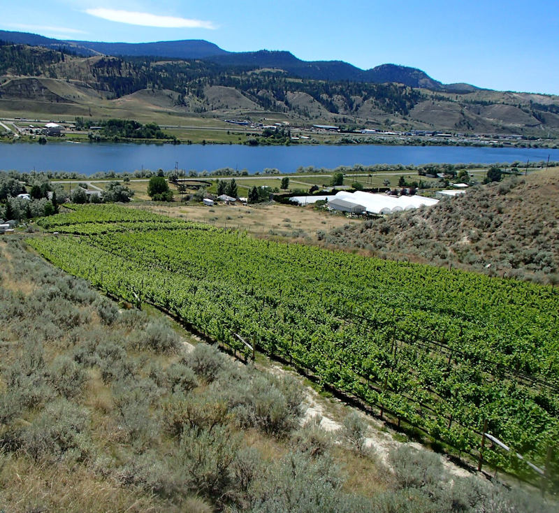 The Firts commercial winery in Kamloops British Columbia Sagewood Estate winery i